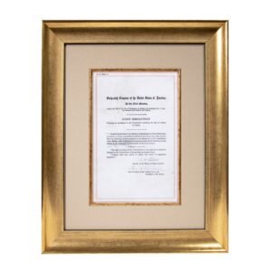 19th Amendment - Limited Edition Centennial Framing