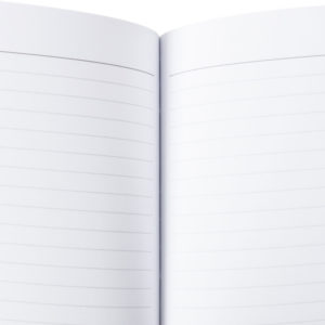 Alternative view of Anthony and Stanton Journal